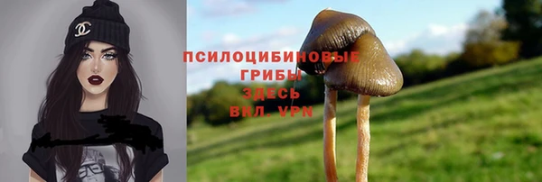 спиды Бугульма