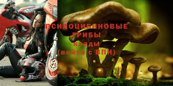 спиды Бугульма