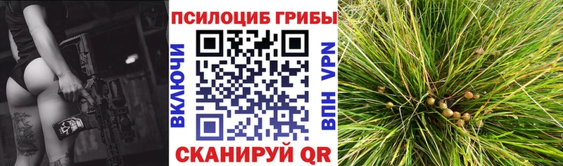 мориарти формула  гидра   Псилоцибиновые грибы ЛСД  Надым  цена  